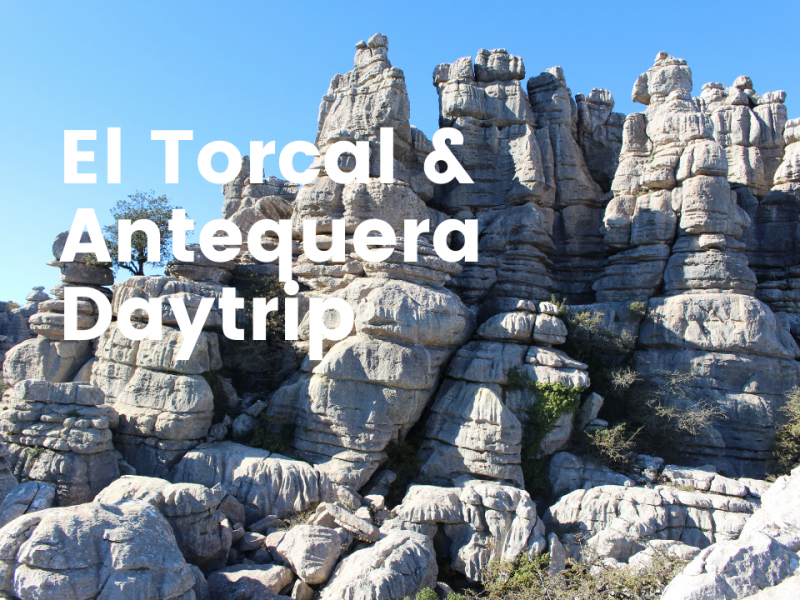 Tours and Experiences on Costa Del Sol